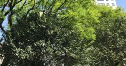 Apartamento mobiliado para locação na Vila Leopoldina, com 70 m², 1 suíte e 1 vaga de garagem.