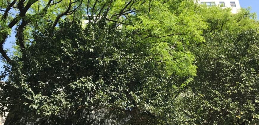 Apartamento mobiliado para locação na Vila Leopoldina, com 70 m², 1 suíte e 1 vaga de garagem.